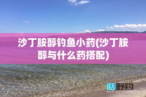 沙丁胺醇钓鱼小药(沙丁胺醇与什么药搭配)