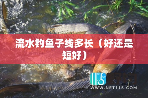 流水钓鱼子线多长（好还是短好）