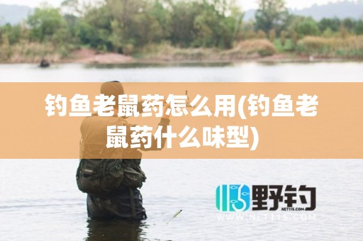 钓鱼老鼠药怎么用(钓鱼老鼠药什么味型)