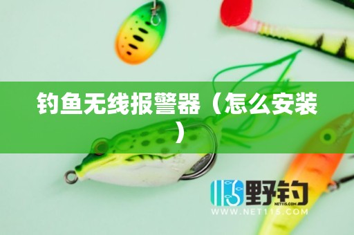 钓鱼无线报警器（怎么安装）