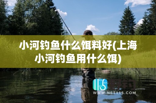 小河钓鱼什么饵料好(上海小河钓鱼用什么饵)