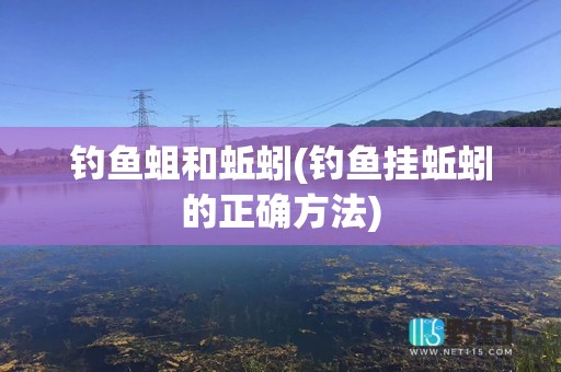 钓鱼蛆和蚯蚓(钓鱼挂蚯蚓的正确方法)