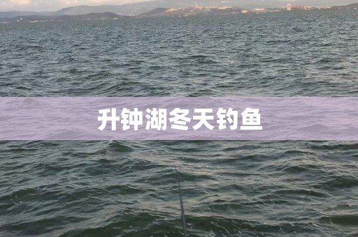升钟湖冬天钓鱼