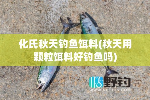 化氏秋天钓鱼饵料(秋天用颗粒饵料好钓鱼吗)