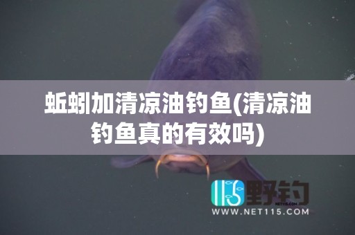 蚯蚓加清凉油钓鱼(清凉油钓鱼真的有效吗)