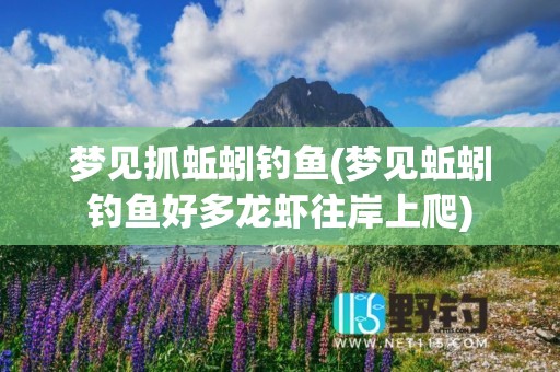 梦见抓蚯蚓钓鱼(梦见蚯蚓钓鱼好多龙虾往岸上爬)