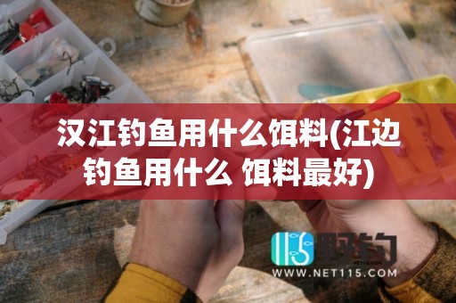 汉江钓鱼用什么饵料(江边钓鱼用什么 饵料最好)