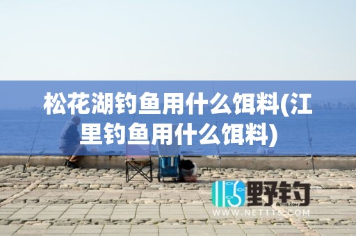 松花湖钓鱼用什么饵料(江里钓鱼用什么饵料)