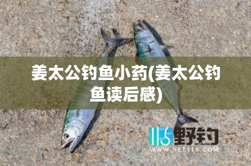 姜太公钓鱼小药(姜太公钓鱼读后感)