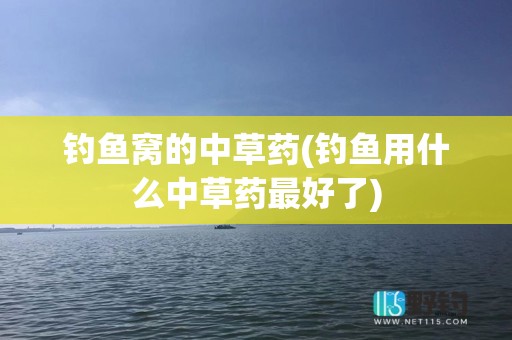 钓鱼窝的中草药(钓鱼用什么中草药最好了)