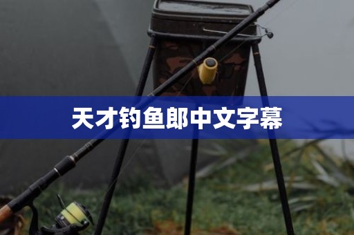 天才钓鱼郎中文字幕