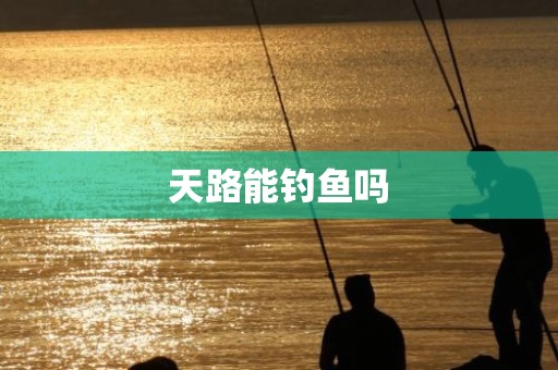 天路能钓鱼吗