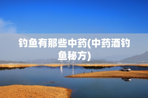 钓鱼有那些中药(中药酒钓鱼秘方)
