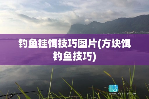 钓鱼挂饵技巧图片(方块饵钓鱼技巧)