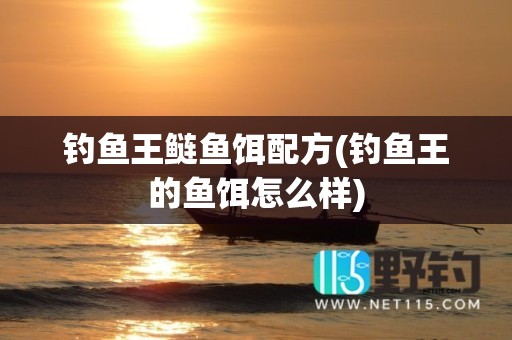 钓鱼王鲢鱼饵配方(钓鱼王的鱼饵怎么样)