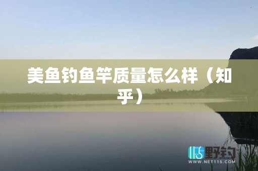 美鱼钓鱼竿质量怎么样（知乎）