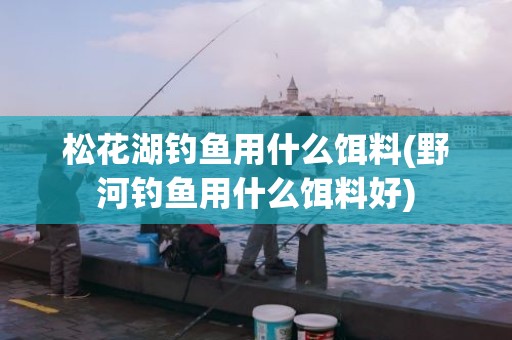 松花湖钓鱼用什么饵料(野河钓鱼用什么饵料好)