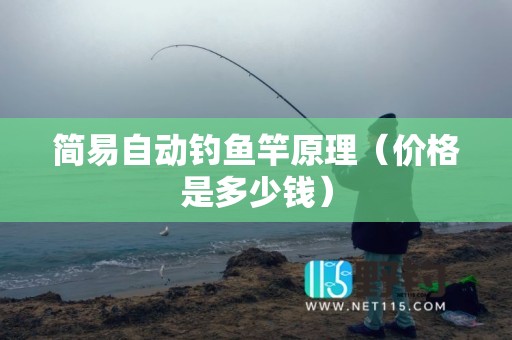 简易自动钓鱼竿原理（价格是多少钱）