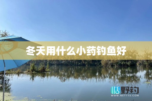 冬天用什么小药钓鱼好