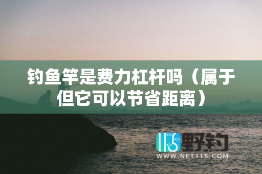 钓鱼竿是费力杠杆吗（属于但它可以节省距离）