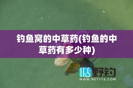 钓鱼窝的中草药(钓鱼的中草药有多少种)