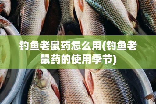 钓鱼老鼠药怎么用(钓鱼老鼠药的使用季节)