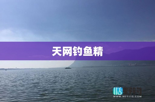 天网钓鱼精