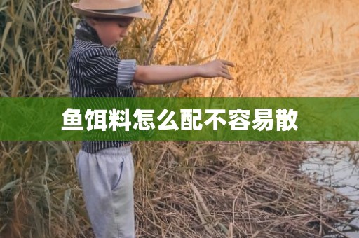 鱼饵料怎么配不容易散