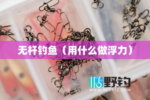 无杆钓鱼（用什么做浮力）