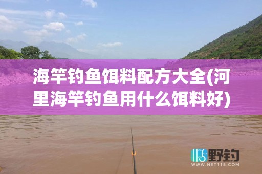 海竿钓鱼饵料配方大全(河里海竿钓鱼用什么饵料好)
