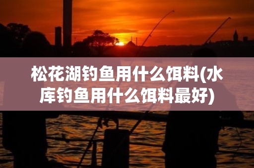 松花湖钓鱼用什么饵料(水库钓鱼用什么饵料最好)