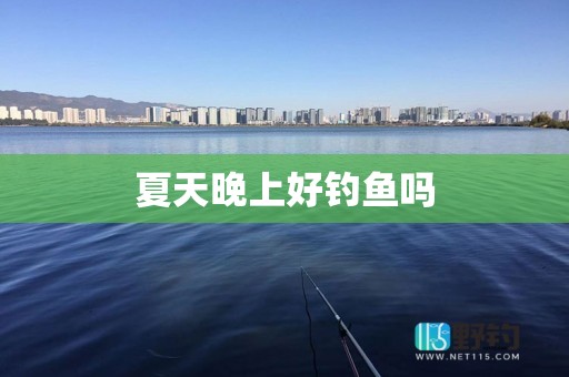 夏天晚上好钓鱼吗