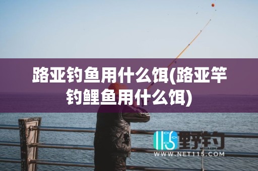 路亚钓鱼用什么饵(路亚竿钓鲤鱼用什么饵)
