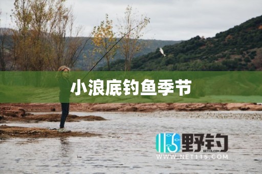 小浪底钓鱼季节