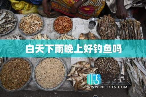 白天下雨晚上好钓鱼吗