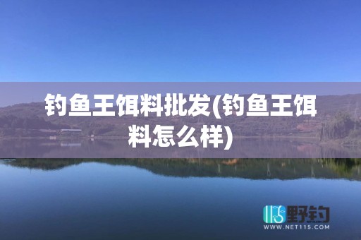 钓鱼王饵料批发(钓鱼王饵料怎么样)