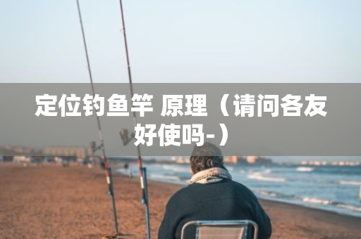 定位钓鱼竿 原理（请问各友好使吗-）