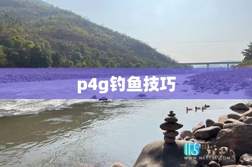 p4g钓鱼技巧