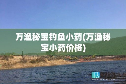 万渔秘宝钓鱼小药(万渔秘宝小药价格)
