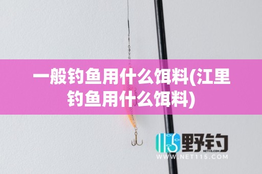 一般钓鱼用什么饵料(江里钓鱼用什么饵料)