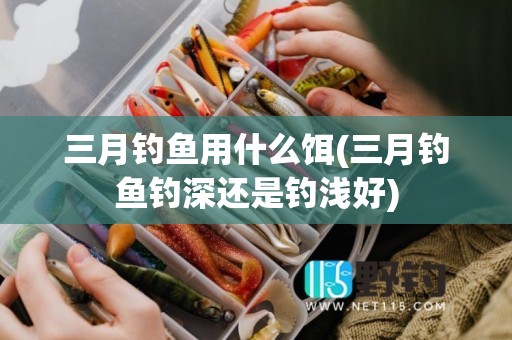 三月钓鱼用什么饵(三月钓鱼钓深还是钓浅好)