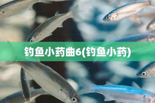 钓鱼小药曲6(钓鱼小药)