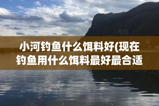 小河钓鱼什么饵料好(现在钓鱼用什么饵料最好最合适)