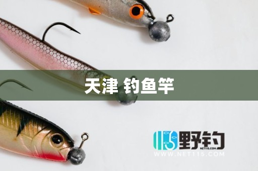 天津 钓鱼竿