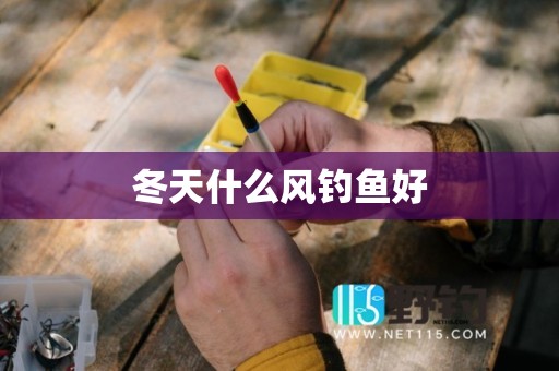 冬天什么风钓鱼好