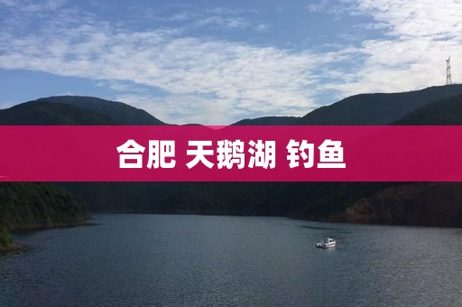 合肥 天鹅湖 钓鱼