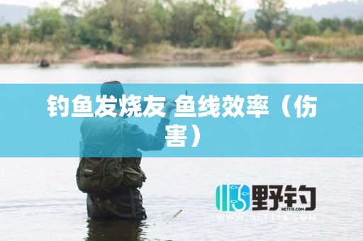 钓鱼发烧友 鱼线效率（伤害）