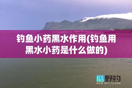 钓鱼小药黑水作用(钓鱼用黑水小药是什么做的)