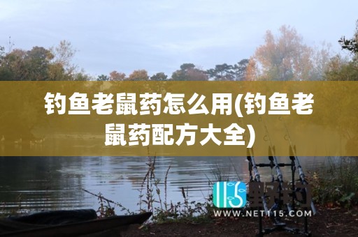 钓鱼老鼠药怎么用(钓鱼老鼠药配方大全)