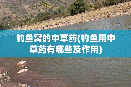 钓鱼窝的中草药(钓鱼用中草药有哪些及作用)
